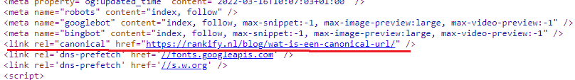 Canonical tag in de html van de webpagina